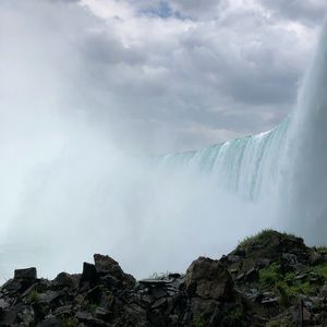 Meet your Posher, Ally